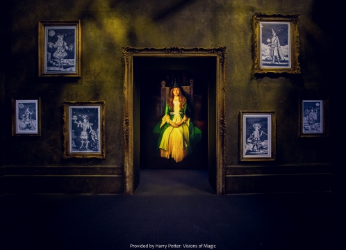 ハリー・ポッター_ビジョンズ・オブ・マジック